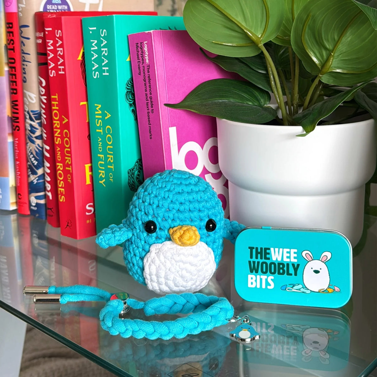 Pierre the Penguin Crochet Kit
